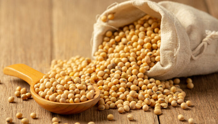 Foods to avoid and foods to eat for bone health